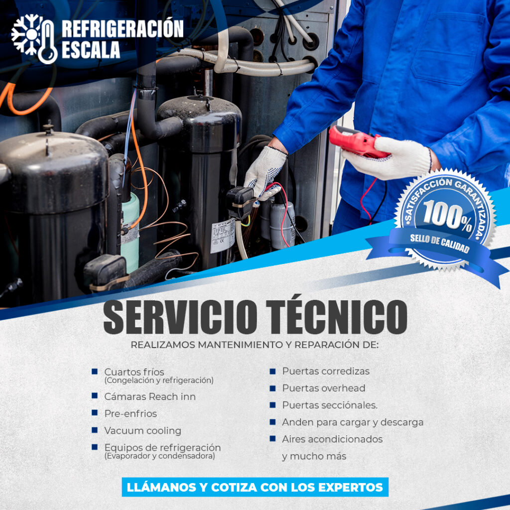 Servicios